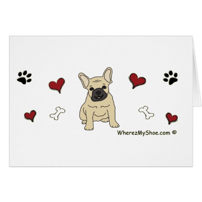 FrenchBulldogFawn (正面横)