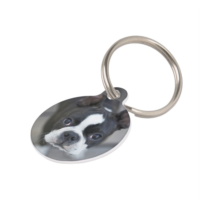 Frenchie French Bulldog Dog Cat Tag ペット　ネームタグ (側面)