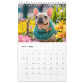 Frenchie Knit Seasons - 2026 Cozy Dog Calendar カレンダー (3月 2026)