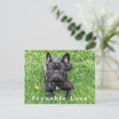 Frenchie Love フランスの Buldog写真はがき ポストカード (スタンド正面)