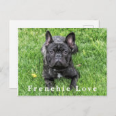 Frenchie Love フランスの Buldog写真はがき ポストカード (正面/裏面)