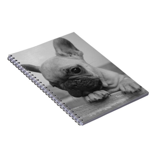 Frenchie puppy ノートブック (右側)