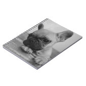 Frenchie puppy ノートブック (左側)