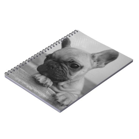 Frenchie puppy ノートブック (左側)