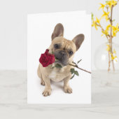 Frenchie Valentine – Big Love in a Small Package カード (黄色い花)