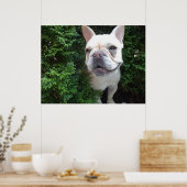 Frenchy on Patrol ポスター (キッチン)