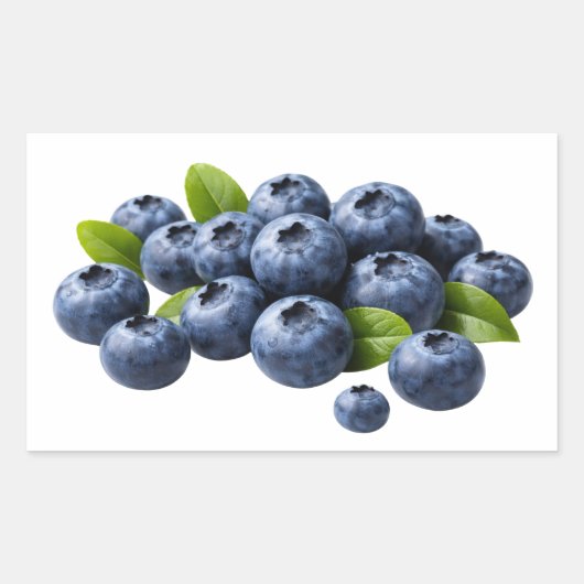 Fresh Blueberries with Leaves Sticker 長方形シール (正面)