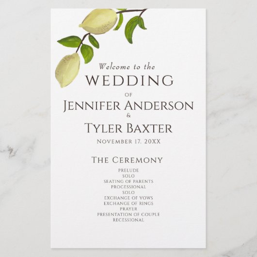 Fresh Citrus Painted Lemons Modern Mediterranean (正面)