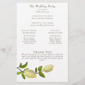 Fresh Citrus Painted Lemons Modern Mediterranean (裏面)