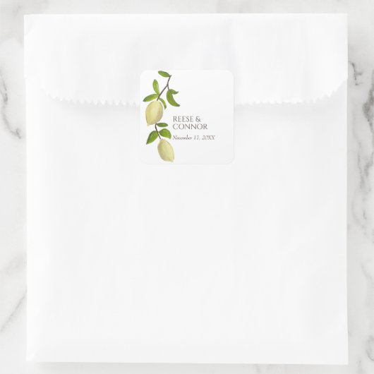 Fresh Citrus Painted Lemons Modern Mediterranean スクエアシール (バッグ)