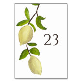 Fresh Citrus Painted Lemons Modern Mediterranean テーブルナンバー (正面)