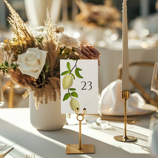 Fresh Citrus Painted Lemons Modern Mediterranean テーブルナンバー