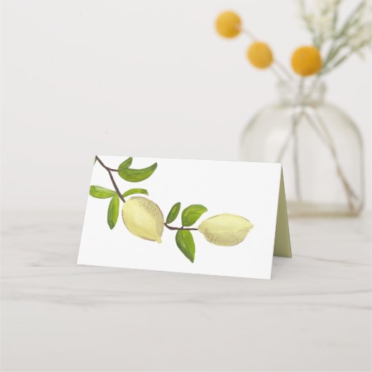 Fresh Citrus Painted Lemons Modern Mediterranean プレイスカード (裏面)