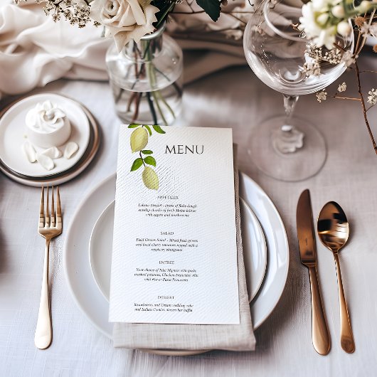 Fresh Citrus Painted Lemons Modern Mediterranean メニュー