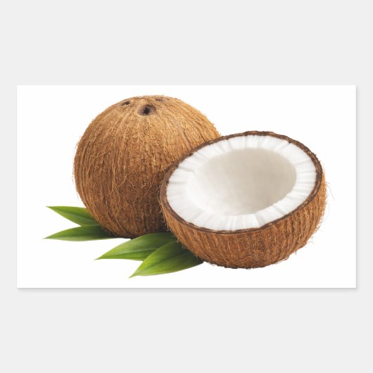 Fresh Coconut With Half Cut Slice Sticker 長方形シール (正面)