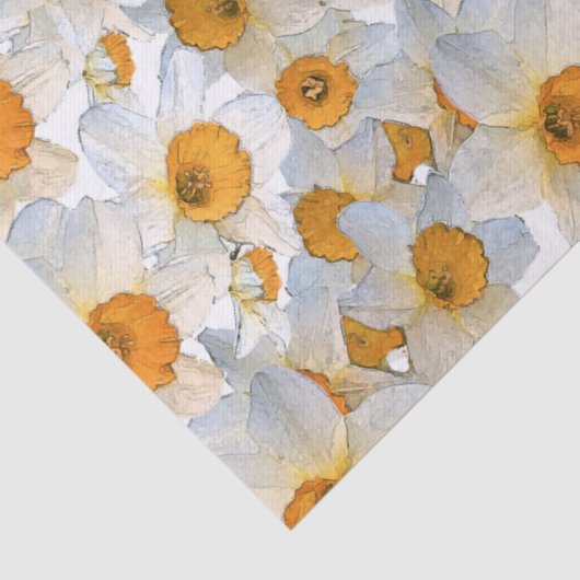 Fresh Daffodil 薄葉紙 (詳細)