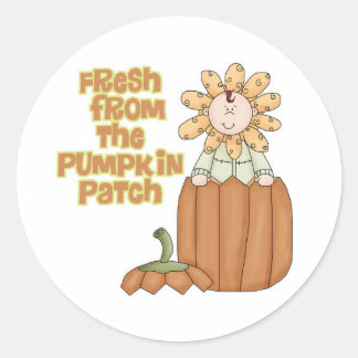 Fresh From Pumpkinパッチベビー発表 ラウンドシール
