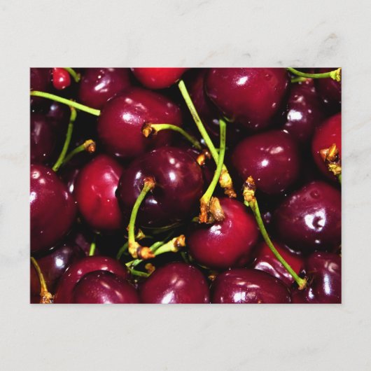 Fresh Juicy Cherries with Water Drops ポストカード (正面)