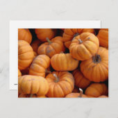 Fresh Minitua Pumpkinsはがき ポストカード (正面/裏面)