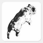 Fresh Motion スクエアシール (正面)