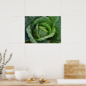 Fresh Organic Cabbage Head ポスター (キッチン)