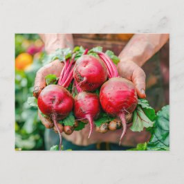 Fresh Red Beets in Rustic Style シーズンポストカード
