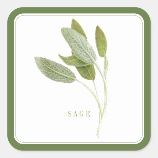 FRESH SAGE Large Squareスタンプ – 緑 スクエアシール (正面)