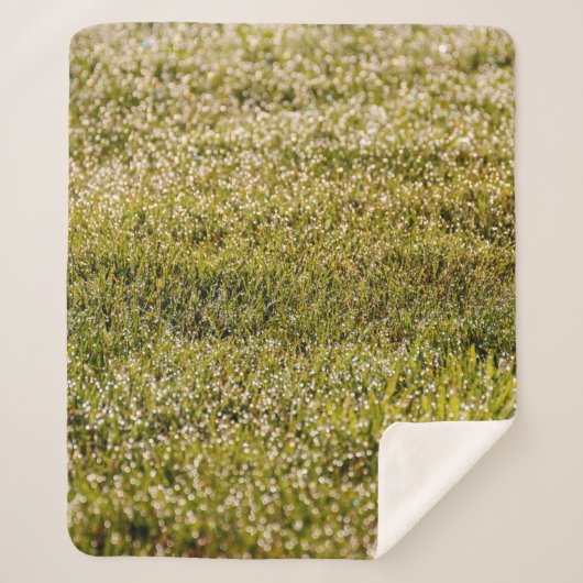 Fresh spring green grass background, with bokeh ef シェルパブランケット (正面)