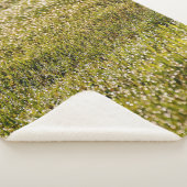 Fresh spring green grass background, with bokeh ef シェルパブランケット (3/4)