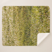 Fresh spring green grass background, with bokeh ef シェルパブランケット (正面(横))