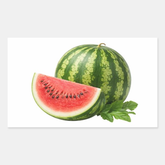 Fresh Watermelon Slice And Whole Fruit Sticker 長方形シール (正面)