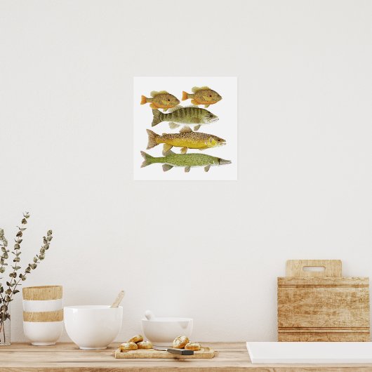 Freshwater Fish Art Poster ポスター (キッチン)