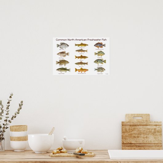 Freshwater Fish Poster ポスター (キッチン)