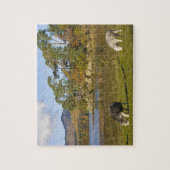 Friars CragのHerdwick羊, Derwentwater, 2 ジグソーパズル (縦)
