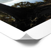 Friar's Crag on Derwentwaterポスター ポスター (角)