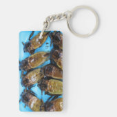 Fried Giant Water Bug (Maeng Daa) ...アジア料理 キーホルダー (裏面)