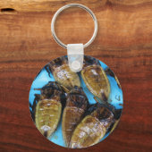 Fried Giant Water Bug (Maeng Daa) ...アジア料理 キーホルダー (正面)