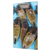 Fried Giant Water Bug (Maeng Daa) ...アジア料理 クリップボード (左)