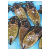 Fried Giant Water Bug (Maeng Daa) ...アジア料理 クリップボード (裏面)