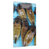 Fried Giant Water Bug (Maeng Daa) ...アジア料理 クリップボード (右)
