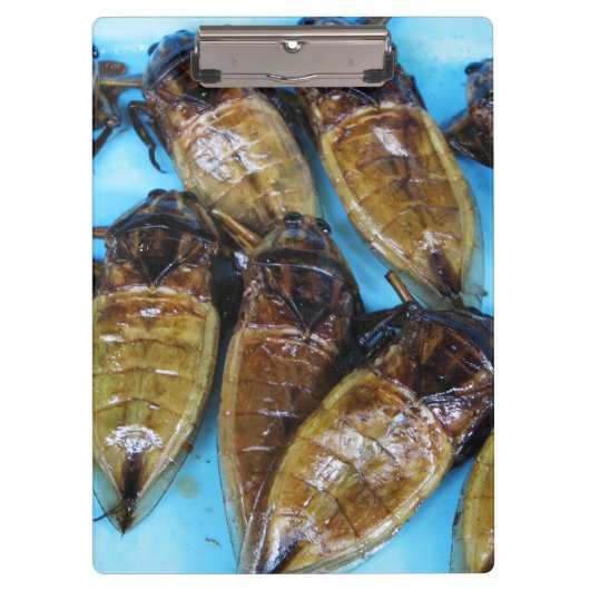 Fried Giant Water Bug (Maeng Daa) ...アジア料理 クリップボード (正面)