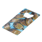 Fried Giant Water Bug (Maeng Daa) ...アジア料理 クレジットカード栓抜き (正面アングル)