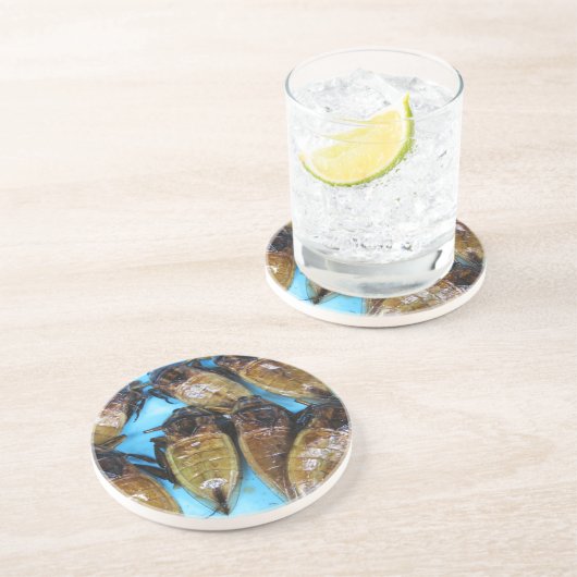 Fried Giant Water Bug (Maeng Daa) ...アジア料理 コースター (側面)