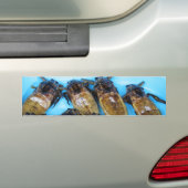 Fried Giant Water Bug (Maeng Daa) ...アジア料理 バンパーステッカー (車上)
