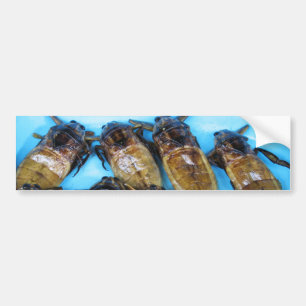 Fried Giant Water Bug (Maeng Daa)。..アジア料理 バンパーステッカー