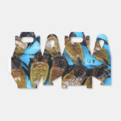 Fried Giant Water Bug (Maeng Daa) ...アジア料理 フェイバーボックス (折り畳みなし)