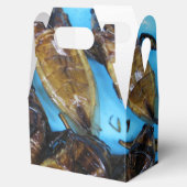 Fried Giant Water Bug (Maeng Daa) ...アジア料理 フェイバーボックス (オープン)