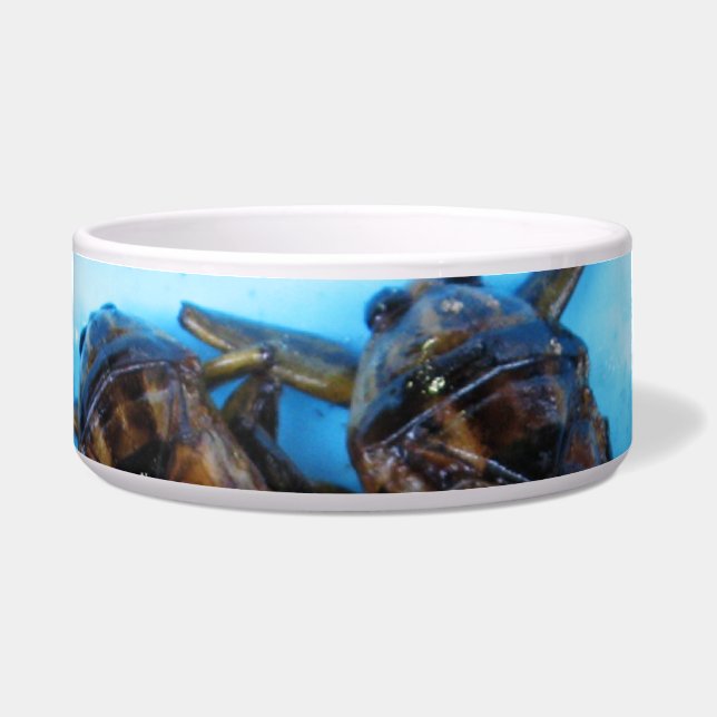 Fried Giant Water Bug (Maeng Daa) ...アジア料理 ボウル (正面)