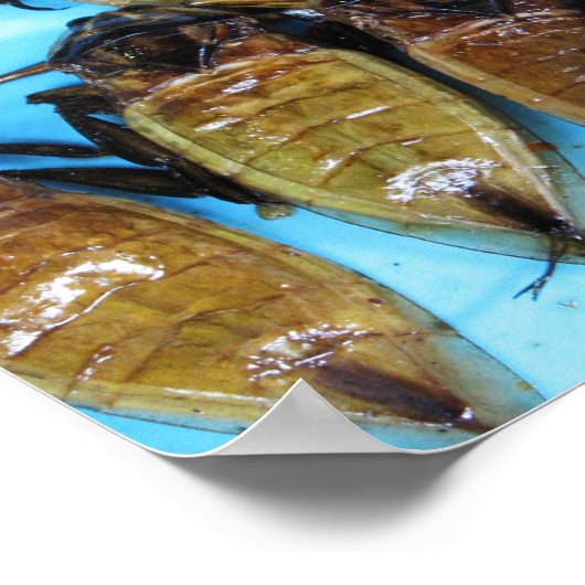 Fried Giant Water Bug (Maeng Daa) ...アジア料理 ポスター (角)
