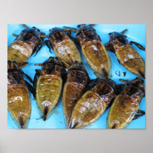 Fried Giant Water Bug (Maeng Daa) ...アジア料理 ポスター